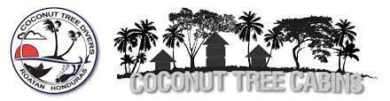 מלון Coconut Tree ווסט אנד מראה חיצוני תמונה